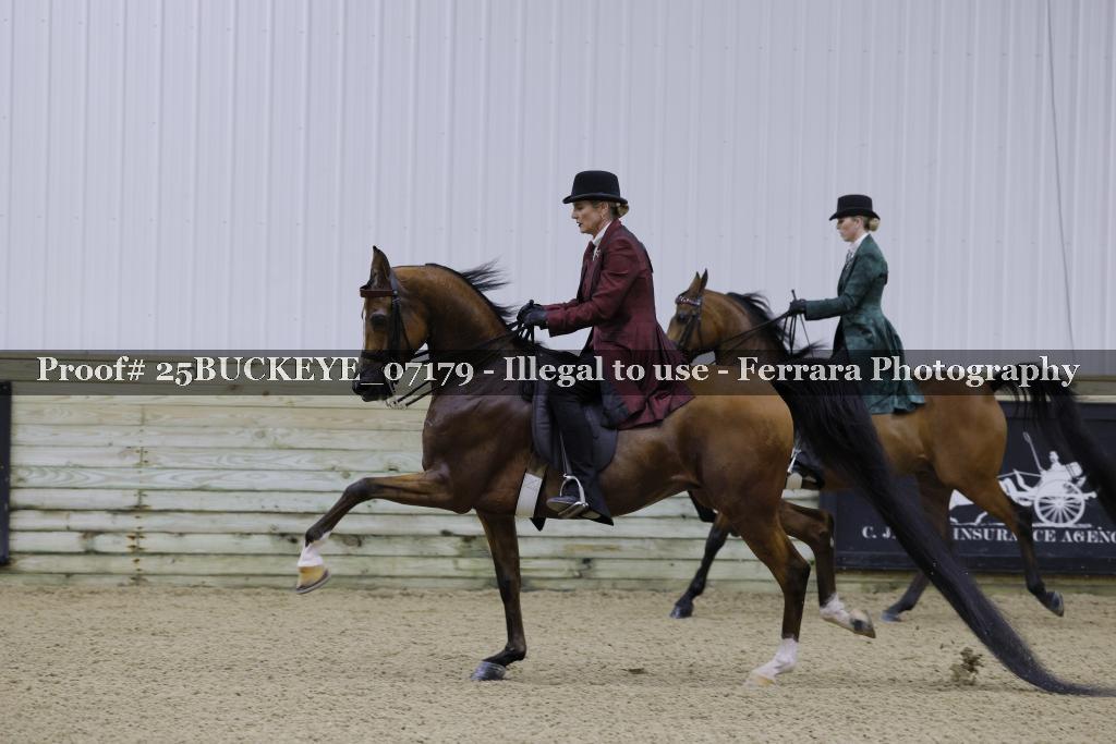 Proof Number 25BUCKEYE_07179