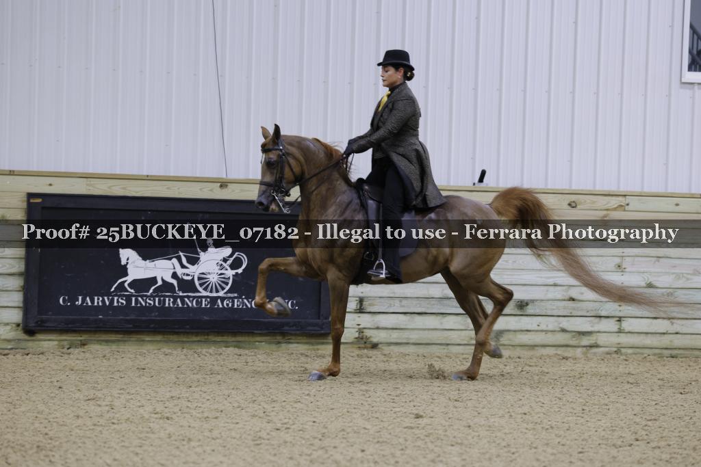 Proof Number 25BUCKEYE_07182