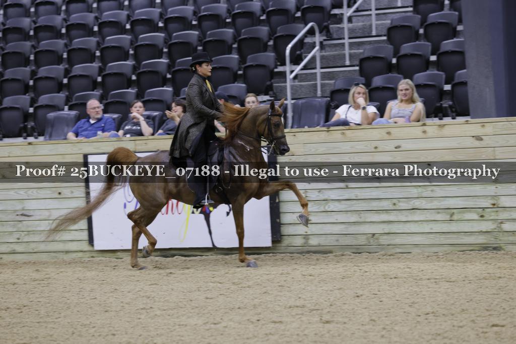 Proof Number 25BUCKEYE_07188