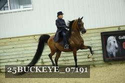 25BUCKEYE_07191 thumbnail
