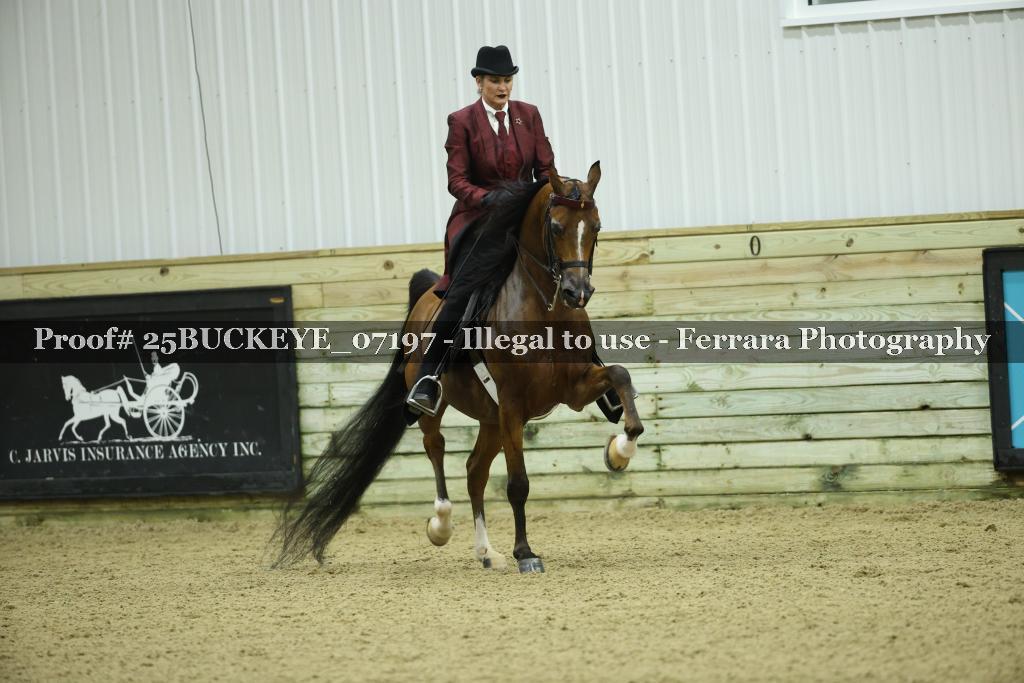 Proof Number 25BUCKEYE_07197