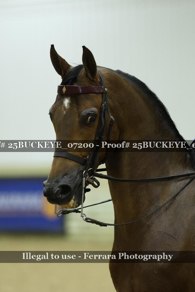 Proof Number 25BUCKEYE_07200