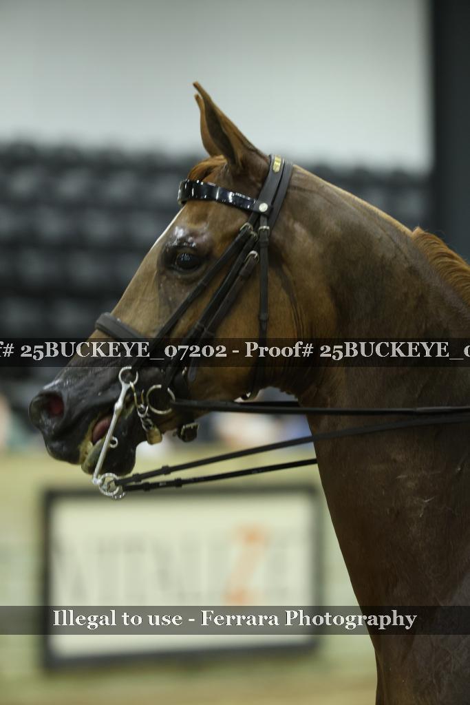 Proof Number 25BUCKEYE_07202