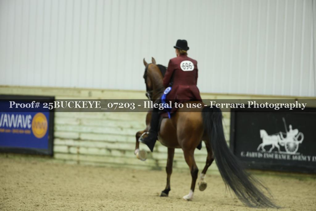 Proof Number 25BUCKEYE_07203