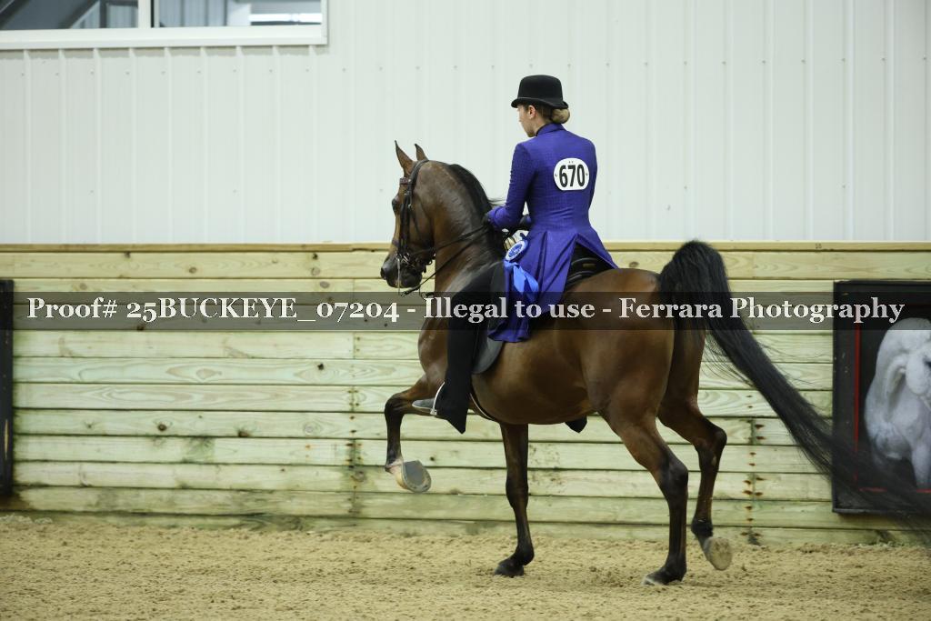 Proof Number 25BUCKEYE_07204
