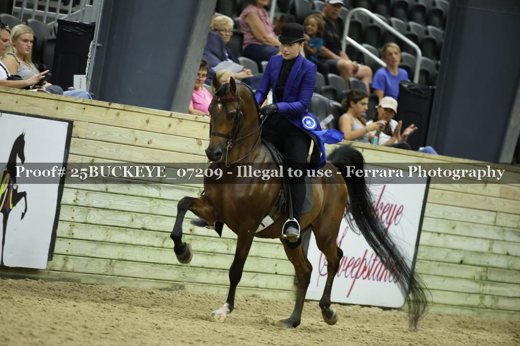 Proof Number 25BUCKEYE_07209