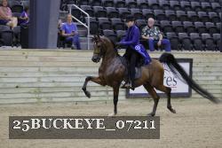 25BUCKEYE_07211 thumbnail