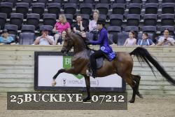 25BUCKEYE_07212 thumbnail