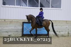 25BUCKEYE_07213 thumbnail