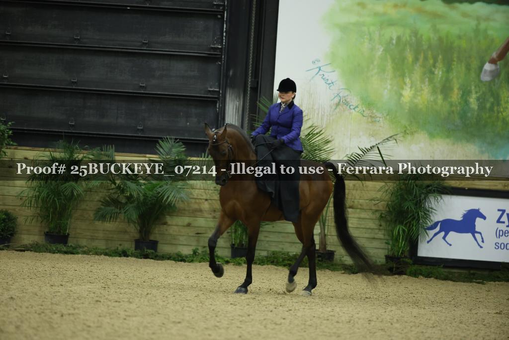 Proof Number 25BUCKEYE_07214