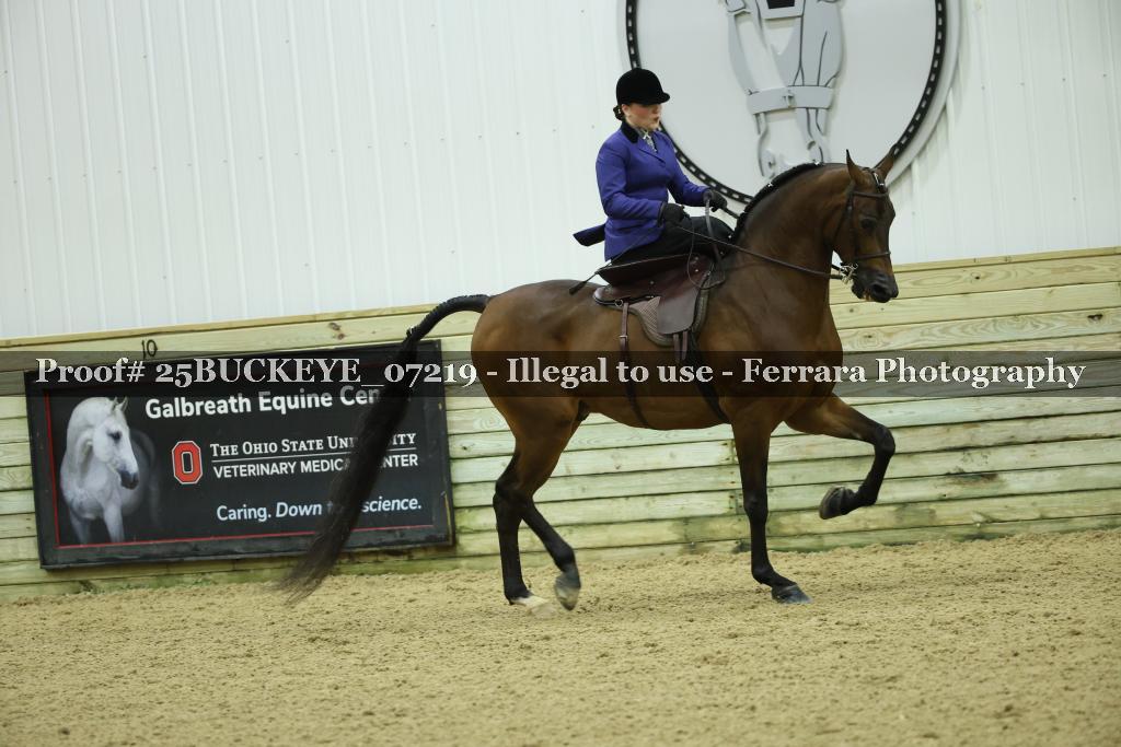 Proof Number 25BUCKEYE_07219