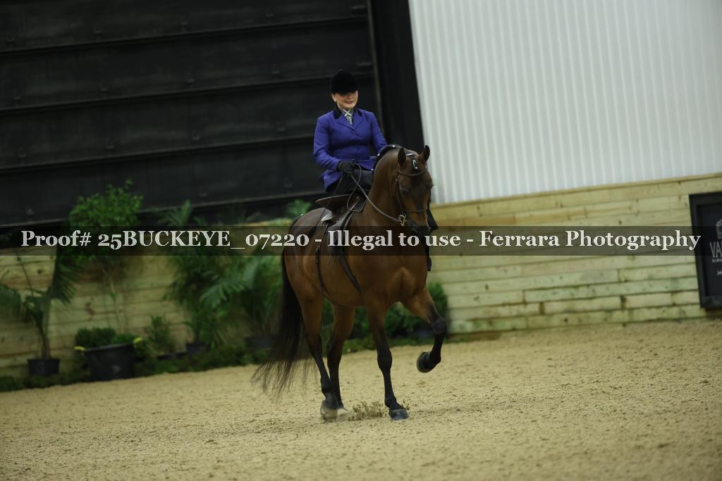 Proof Number 25BUCKEYE_07220