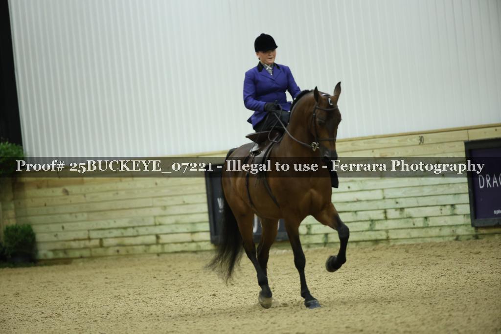 Proof Number 25BUCKEYE_07221
