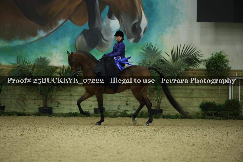 Proof Number 25BUCKEYE_07222