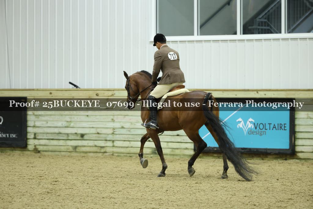 Proof Number 25BUCKEYE_07699