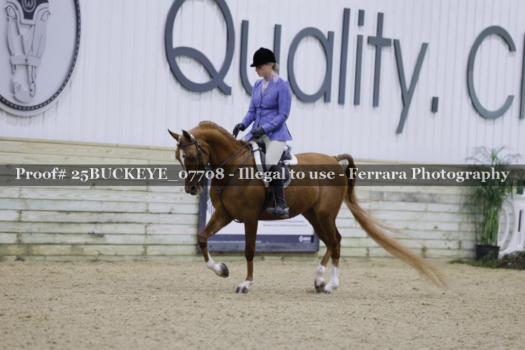 Proof Number 25BUCKEYE_07708