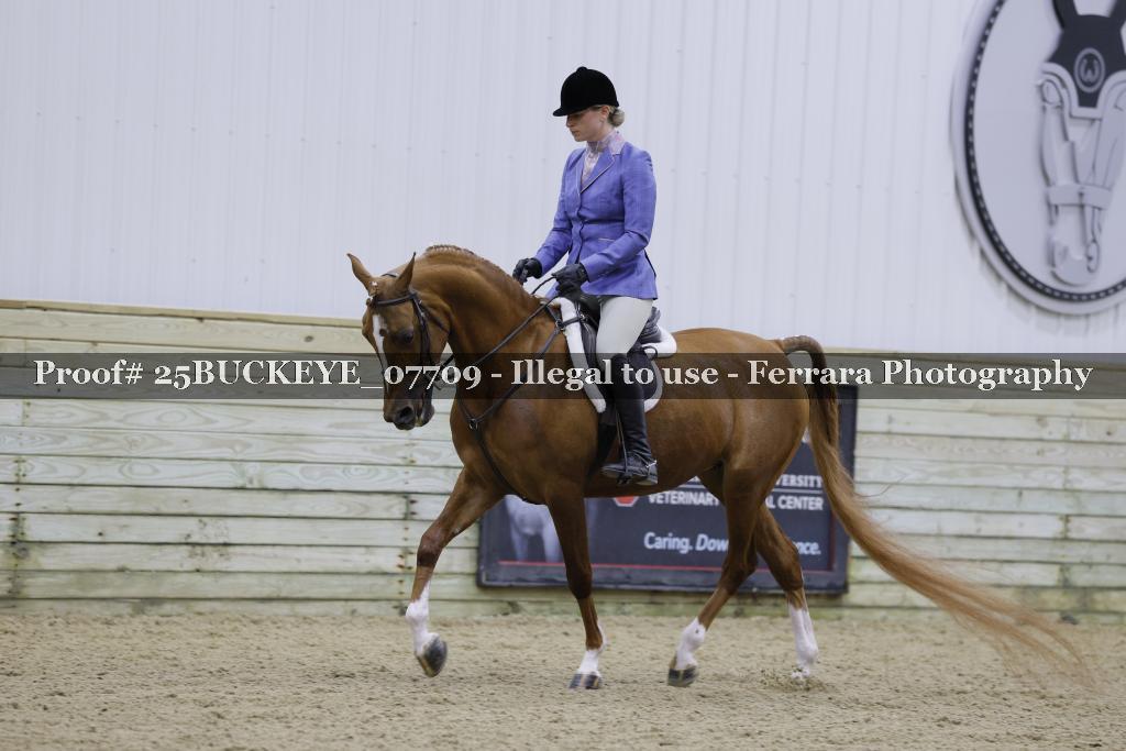 Proof Number 25BUCKEYE_07709