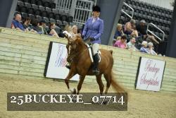 25BUCKEYE_07714 thumbnail