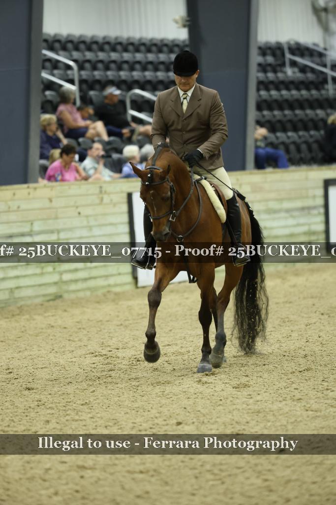Proof Number 25BUCKEYE_07715