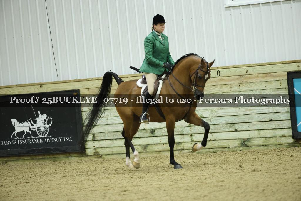 Proof Number 25BUCKEYE_07719