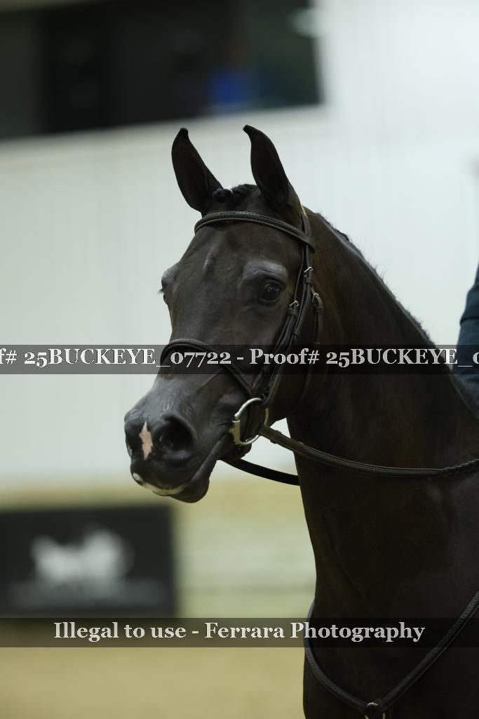 Proof Number 25BUCKEYE_07722