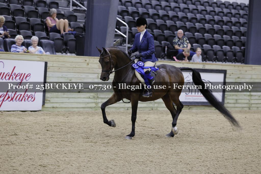 Proof Number 25BUCKEYE_07730