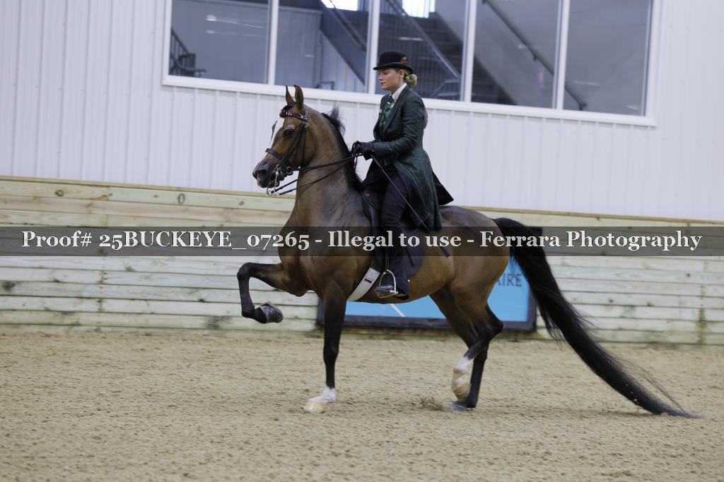 Proof Number 25BUCKEYE_07265