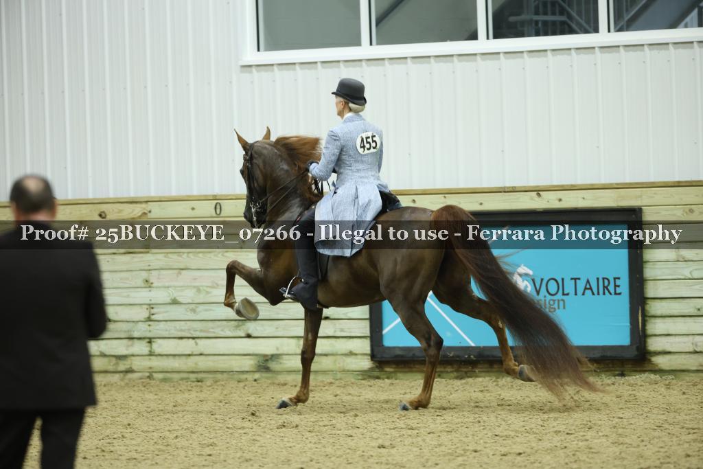 Proof Number 25BUCKEYE_07266