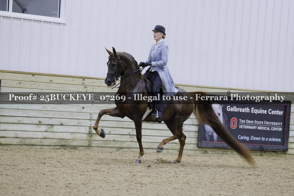 Proof Number 25BUCKEYE_07269
