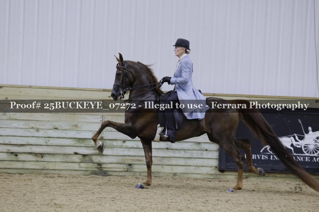 Proof Number 25BUCKEYE_07272