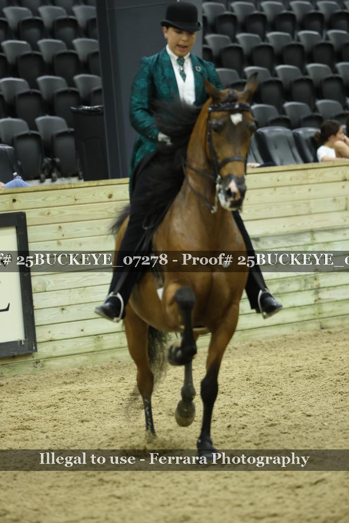Proof Number 25BUCKEYE_07278