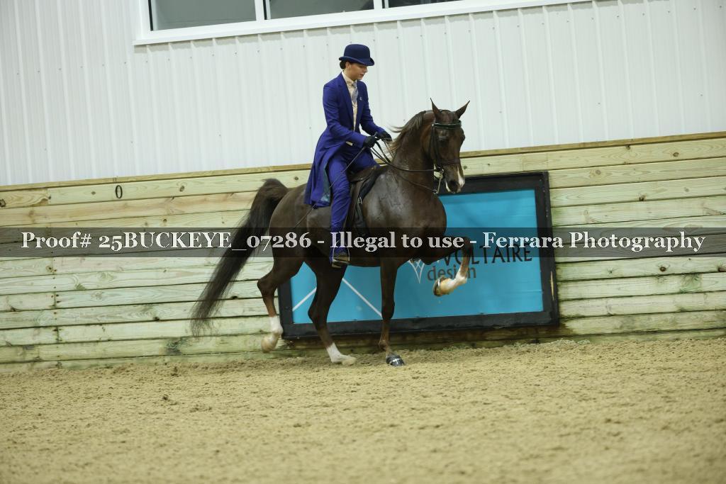 Proof Number 25BUCKEYE_07286