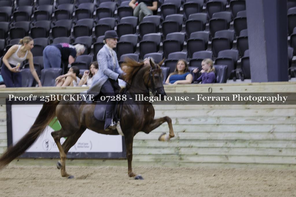 Proof Number 25BUCKEYE_07288