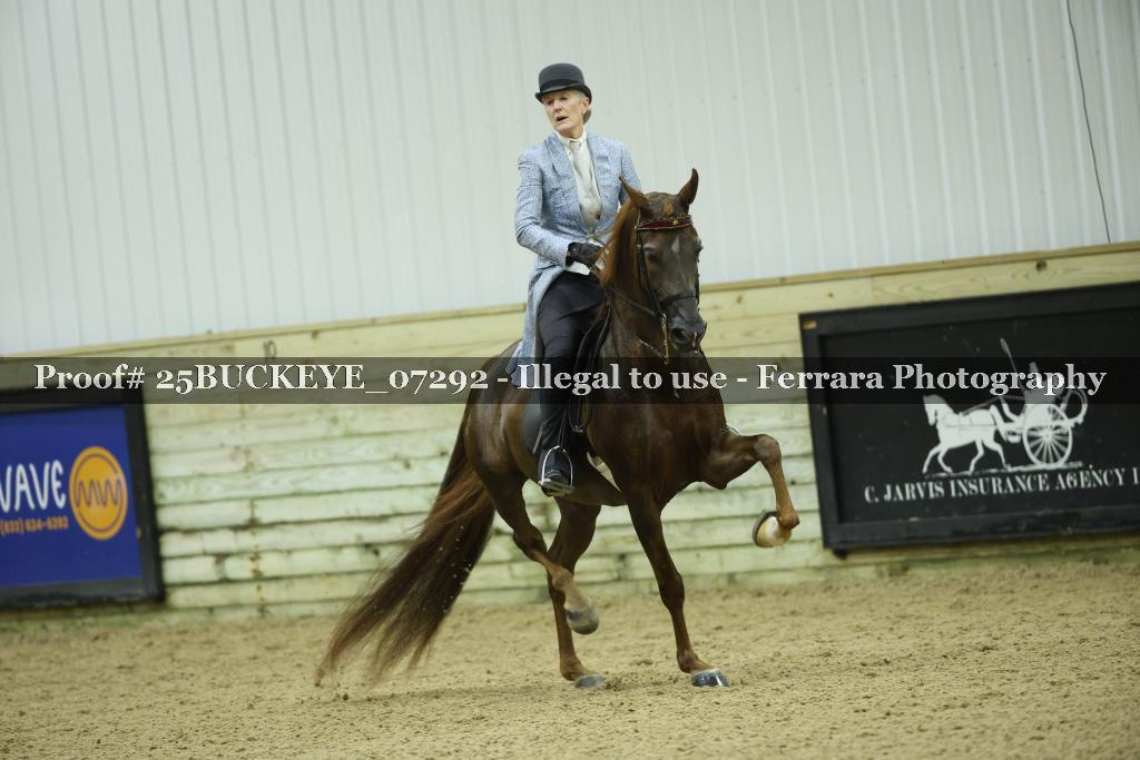 Proof Number 25BUCKEYE_07292