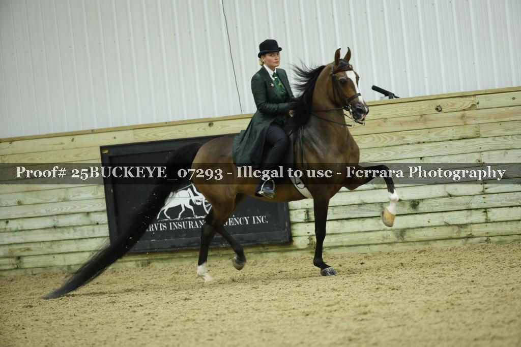 Proof Number 25BUCKEYE_07293