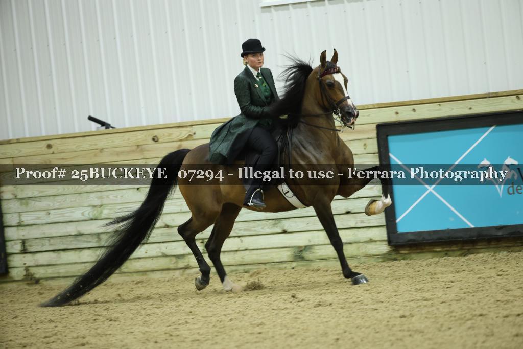 Proof Number 25BUCKEYE_07294