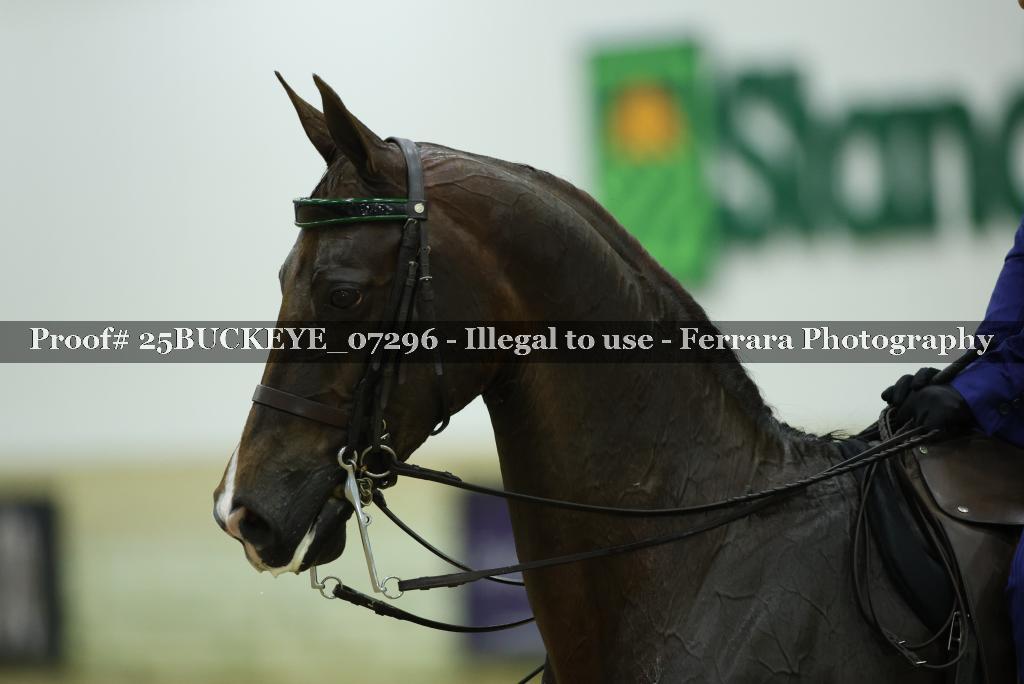 Proof Number 25BUCKEYE_07296