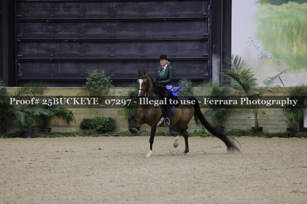 Proof Number 25BUCKEYE_07297