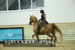 25BUCKEYE_07304 thumbnail