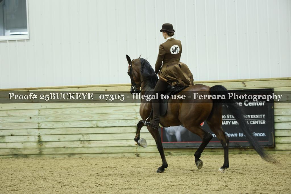Proof Number 25BUCKEYE_07305