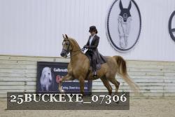 25BUCKEYE_07306 thumbnail