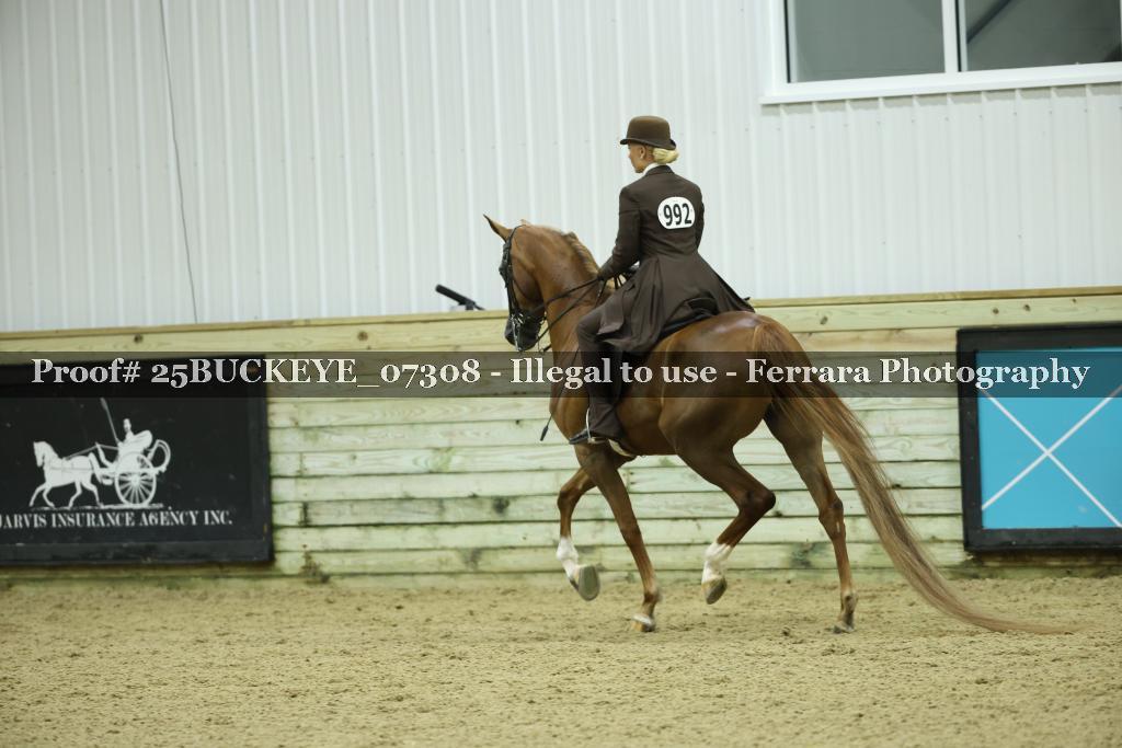Proof Number 25BUCKEYE_07308