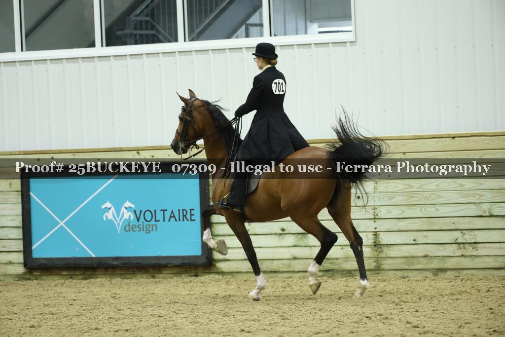 Proof Number 25BUCKEYE_07309