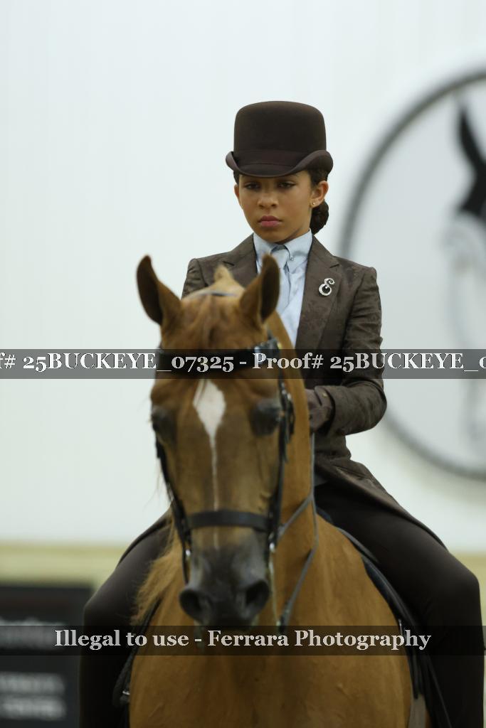 Proof Number 25BUCKEYE_07325