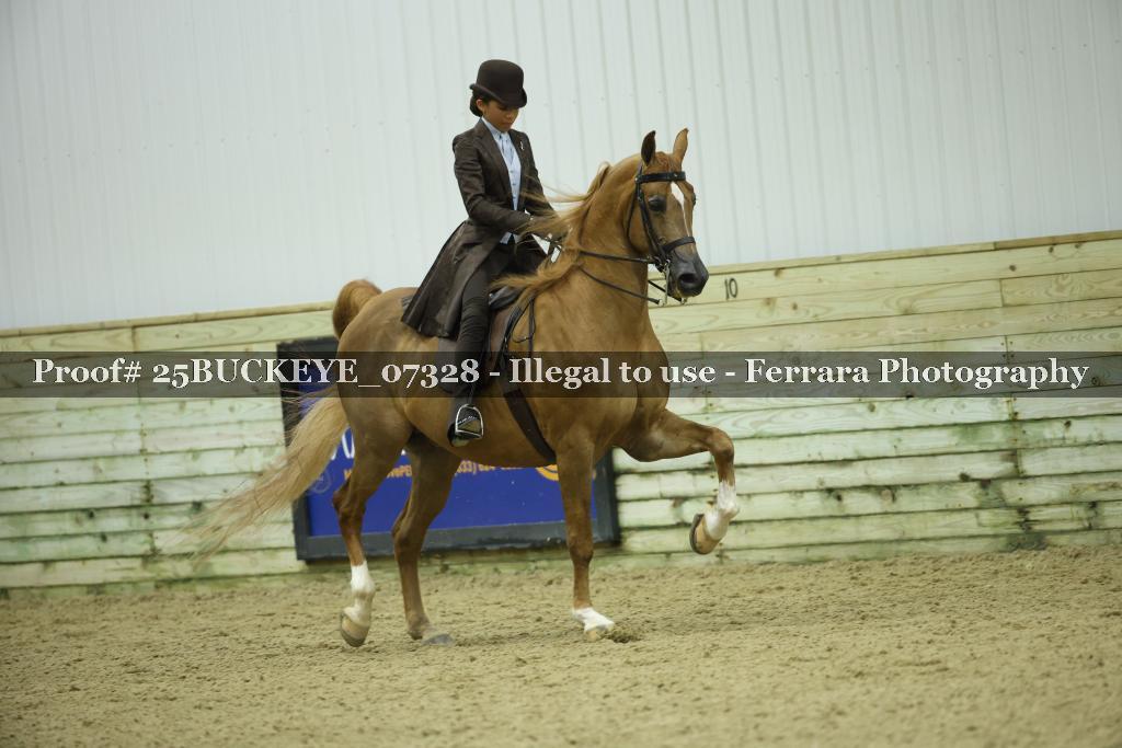 Proof Number 25BUCKEYE_07328