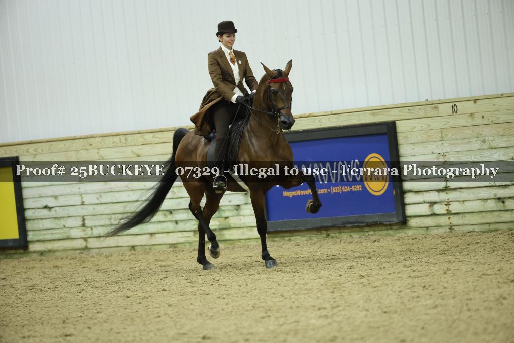 Proof Number 25BUCKEYE_07329