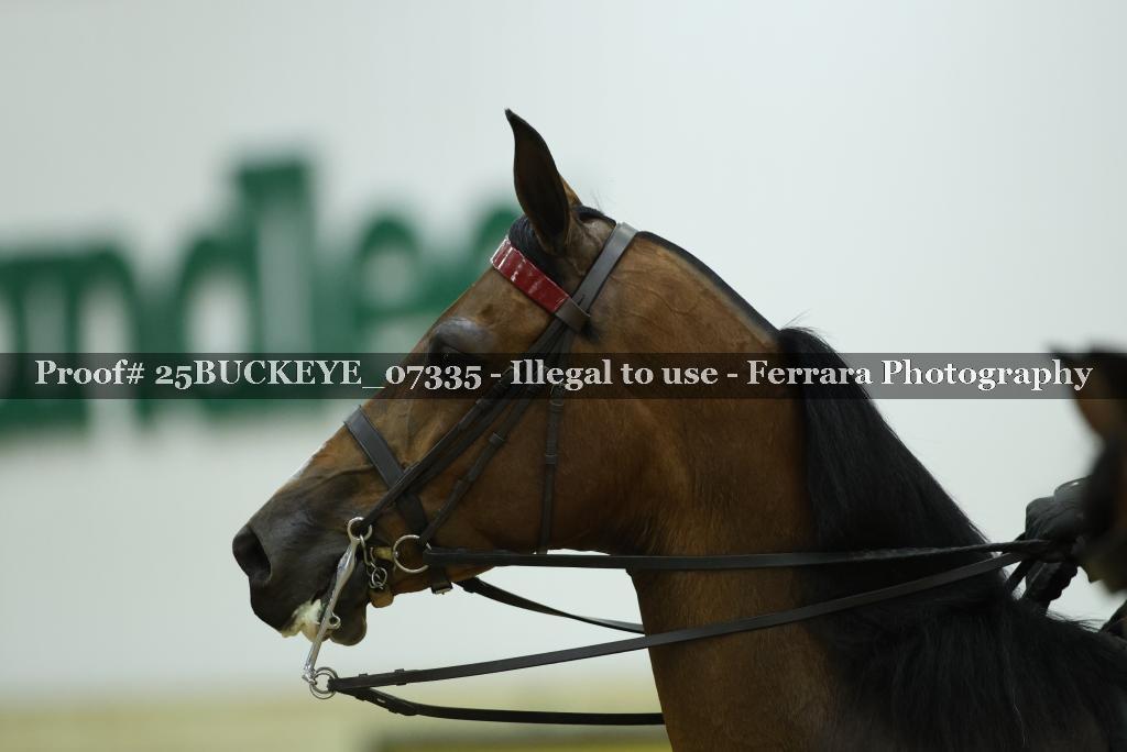 Proof Number 25BUCKEYE_07335