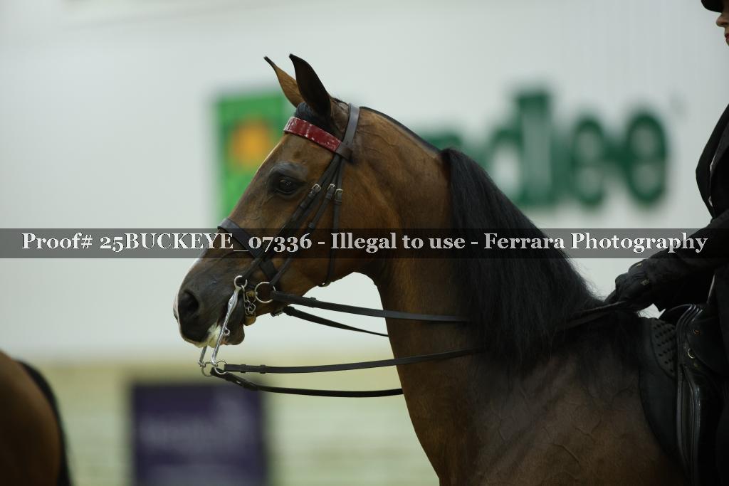 Proof Number 25BUCKEYE_07336