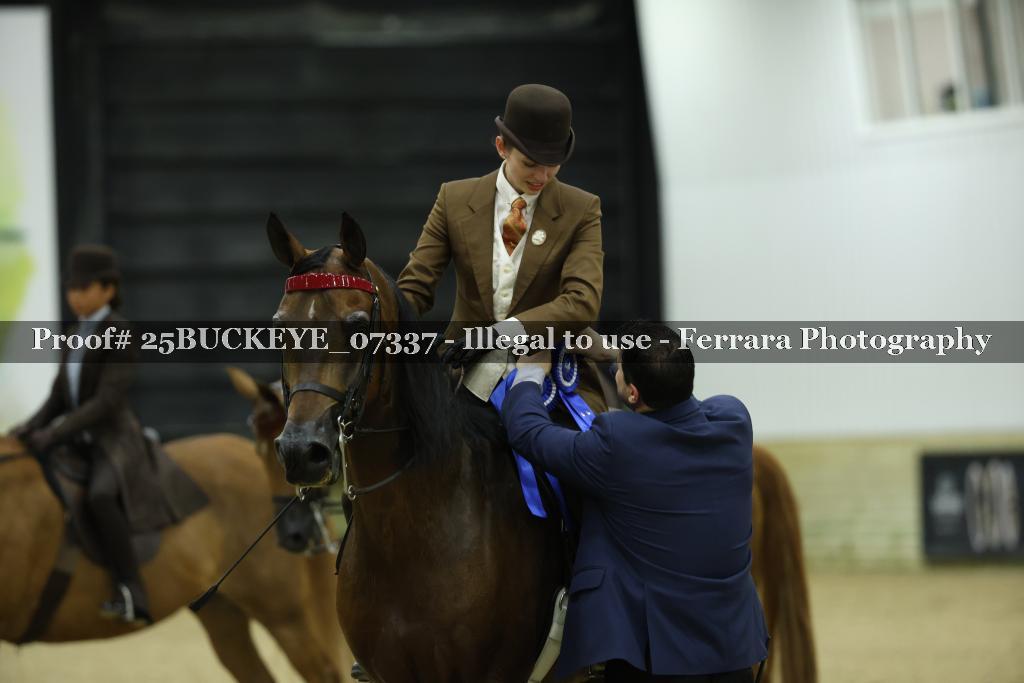 Proof Number 25BUCKEYE_07337