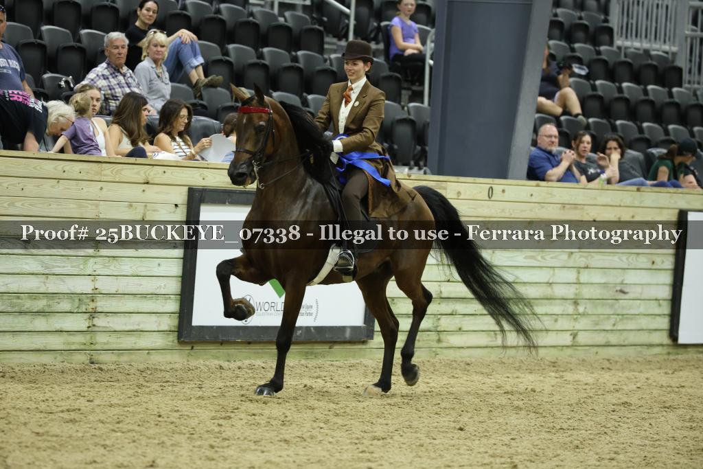 Proof Number 25BUCKEYE_07338